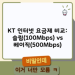 KT 인터넷 요금제 비교: 슬림(100Mbps) vs 베이직(500Mbps)