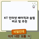 KT 인터넷 베이직과 슬림 비교 및 추천