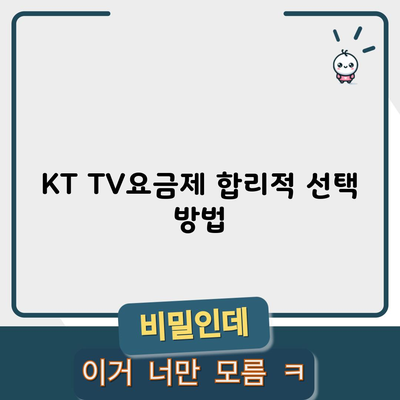 KT TV요금제 합리적 선택 방법