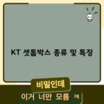 KT 셋톱박스 종류 및 특징