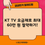 KT TV 요금제로 최대 60만 원 절약하기!