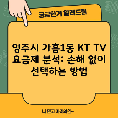 영주시 가흥1동 KT TV 요금제 분석: 손해 없이 선택하는 방법