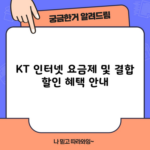 KT 인터넷 요금제 및 결합 할인 혜택 안내