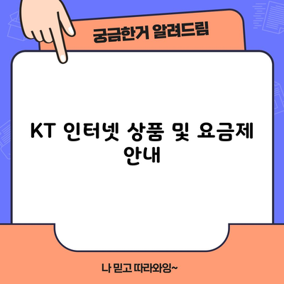 KT 인터넷 상품 및 요금제 안내