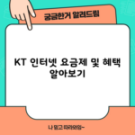 KT 인터넷 요금제 및 혜택 알아보기