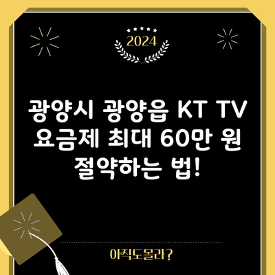 광양시 광양읍 KT TV 요금제 최대 60만 원 절약하는 법!