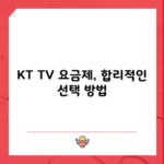 KT TV 요금제, 합리적인 선택 방법