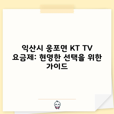 익산시 웅포면 KT TV 요금제: 현명한 선택을 위한 가이드