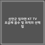 신안군 임자면 KT TV 요금제 꼼수 및 최적의 선택 팁