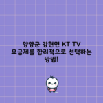 양양군 강현면 KT TV 요금제를 합리적으로 선택하는 방법!