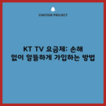 KT TV 요금제: 손해 없이 알뜰하게 가입하는 방법