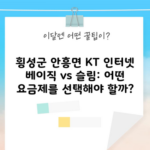 횡성군 안흥면 KT 인터넷 베이직 vs 슬림: 어떤 요금제를 선택해야 할까?