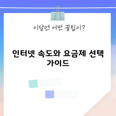 인터넷 속도와 요금제 선택 가이드