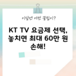 KT TV 요금제 선택, 놓치면 최대 60만 원 손해!