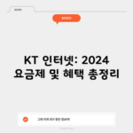 KT 인터넷: 2024 요금제 및 혜택 총정리