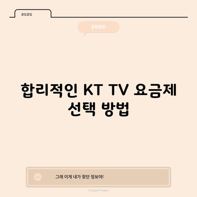 합리적인 KT TV 요금제 선택 방법