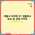 계룡시 두마면 KT 셋톱박스 비교 및 선택 가이드