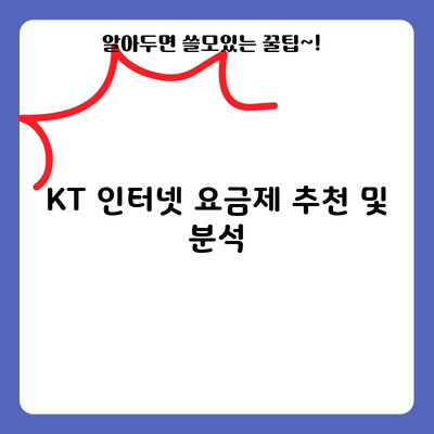 KT 인터넷 요금제 추천 및 분석