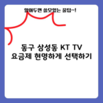 동구 삼성동 KT TV 요금제 현명하게 선택하기