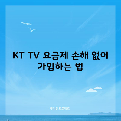 KT TV 요금제 손해 없이 가입하는 법