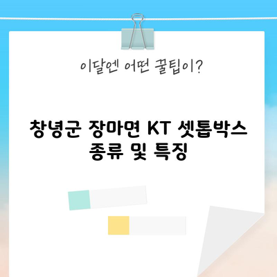 창녕군 장마면 KT 셋톱박스 종류 및 특징