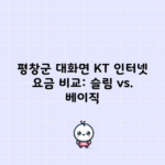 평창군 대화면 KT 인터넷 요금 비교: 슬림 vs. 베이직