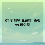 KT 인터넷 요금제: 슬림 vs 베이직