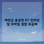 예천군 용궁면 KT 인터넷 및 모바일 결합 요금제