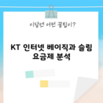 KT 인터넷 베이직과 슬림 요금제 분석