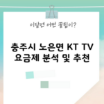 충주시 노은면 KT TV 요금제 분석 및 추천