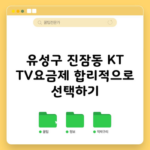 유성구 진잠동 KT TV요금제 합리적으로 선택하기