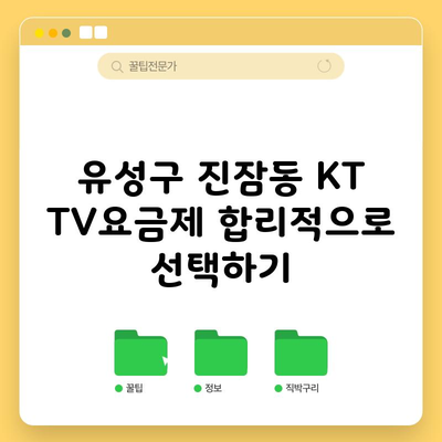 유성구 진잠동 KT TV요금제 합리적으로 선택하기