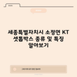 세종특별자치시 소정면 KT 셋톱박스 종류 및 특징 알아보기