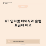 KT 인터넷 베이직과 슬림 요금제 비교