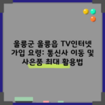 울릉군 울릉읍 TV인터넷 가입 요령: 통신사 이동 및 사은품 최대 활용법