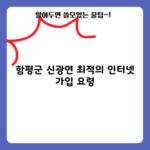 함평군 신광면 최적의 인터넷 가입 요령