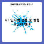 KT 인터넷 상품 및 결합 요금제 안내