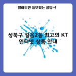 성북구 길음2동 최고의 KT 인터넷 상품 안내