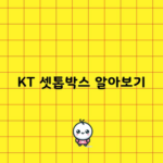 KT 셋톱박스 알아보기