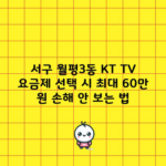 서구 월평3동 KT TV 요금제 선택 시 최대 60만 원 손해 안 보는 법