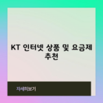 KT 인터넷 상품 및 요금제 추천