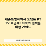 세종특별자치시 도담동 KT TV 요금제: 최적의 선택을 위한 가이드