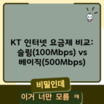 KT 인터넷 요금제 비교: 슬림(100Mbps) vs 베이직(500Mbps)