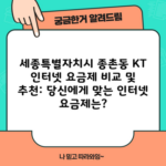 세종특별자치시 종촌동 KT 인터넷 요금제 비교 및 추천: 당신에게 맞는 인터넷 요금제는?