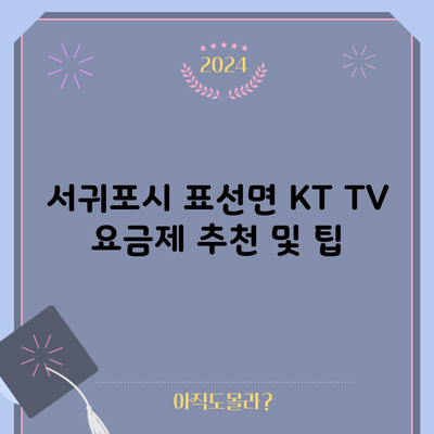 서귀포시 표선면 KT TV 요금제 추천 및 팁