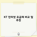 KT 인터넷 요금제 비교 및 추천