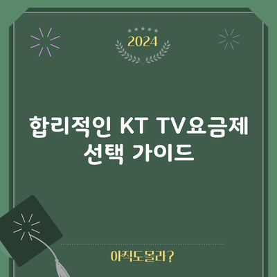 합리적인 KT TV요금제 선택 가이드