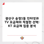 광산구 송정1동 인터넷과 TV 요금제의 적절한 선택: KT 요금제 집중 분석