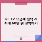 KT TV 요금제 선택 시 최대 60만 원 절약하기