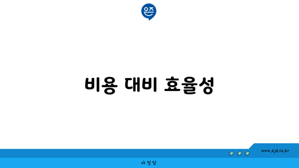 비용 대비 효율성